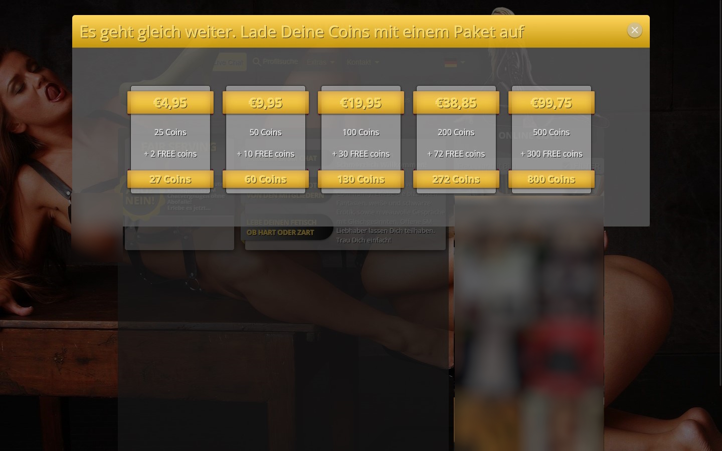 BDSM-Chats.com Kosten