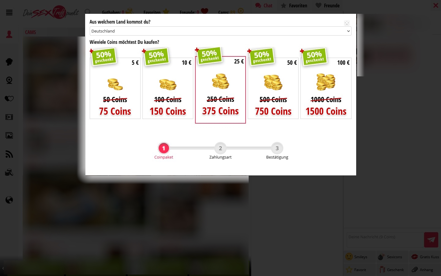 DeinSexTreffpunkt.com Kosten